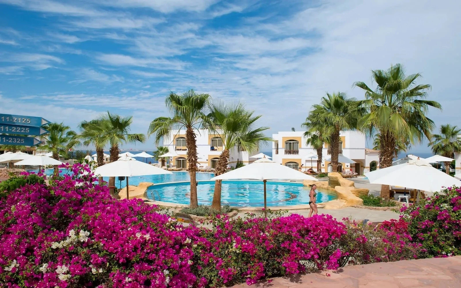 🌴Египет, Шарм-эль-Шейх, Amphoras Blu Resort Adult Only (+16) 4*