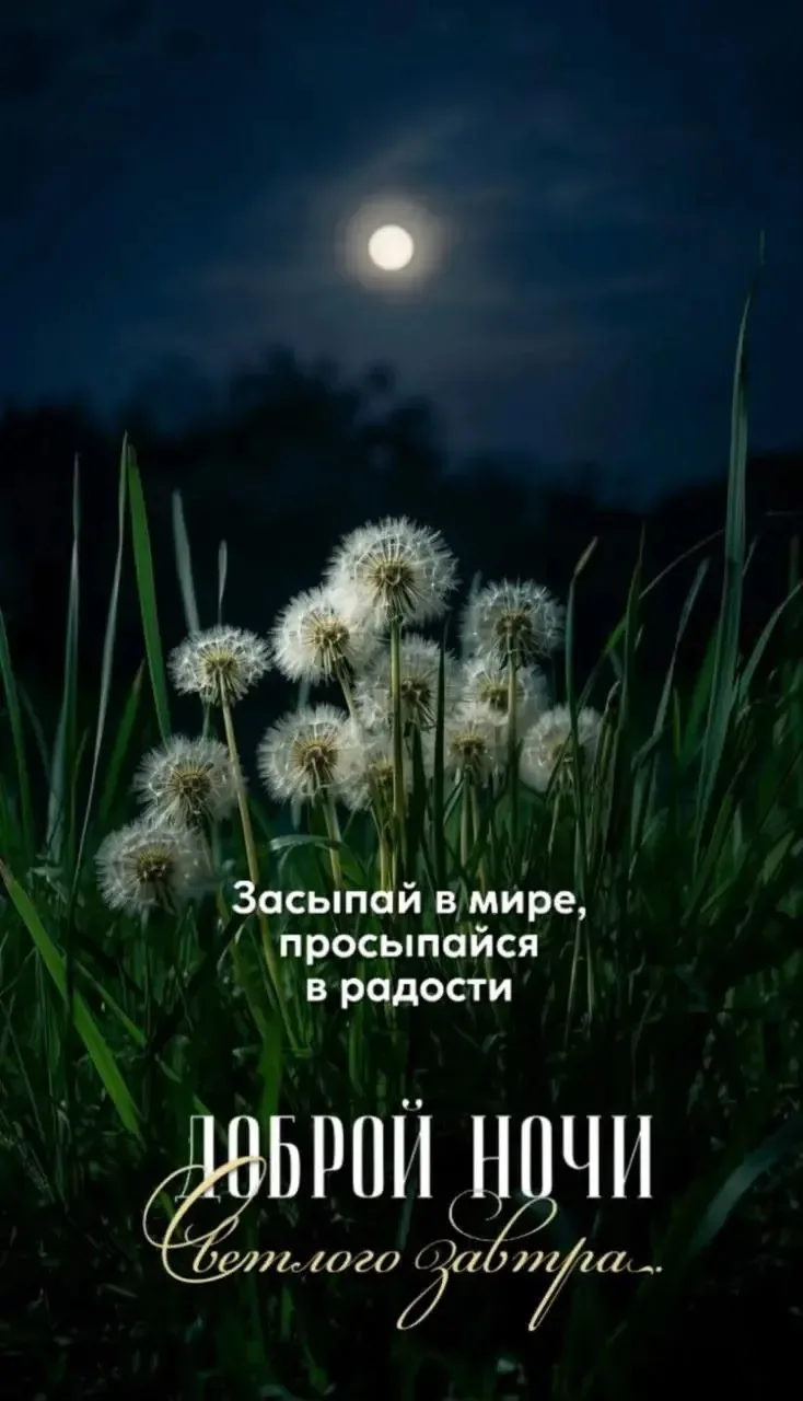 👉Лучшие Открытки в MAX 👈