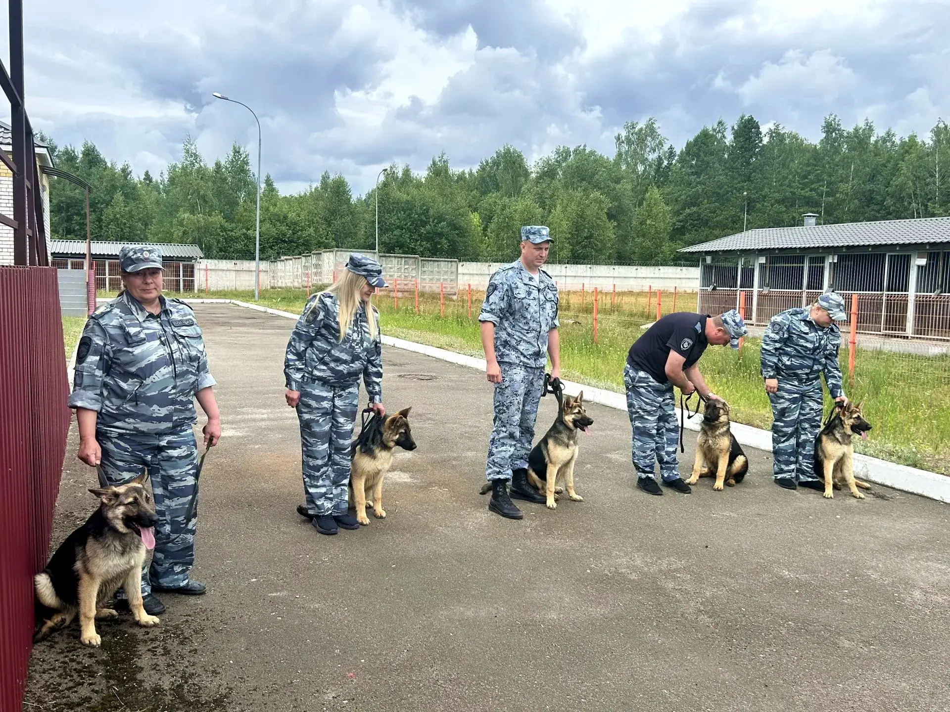🐶 Особенно журналистов очаровали 5 полугодовалых щенков немецкой овчарки: Симбо, Тайга, Тая, Тайфун