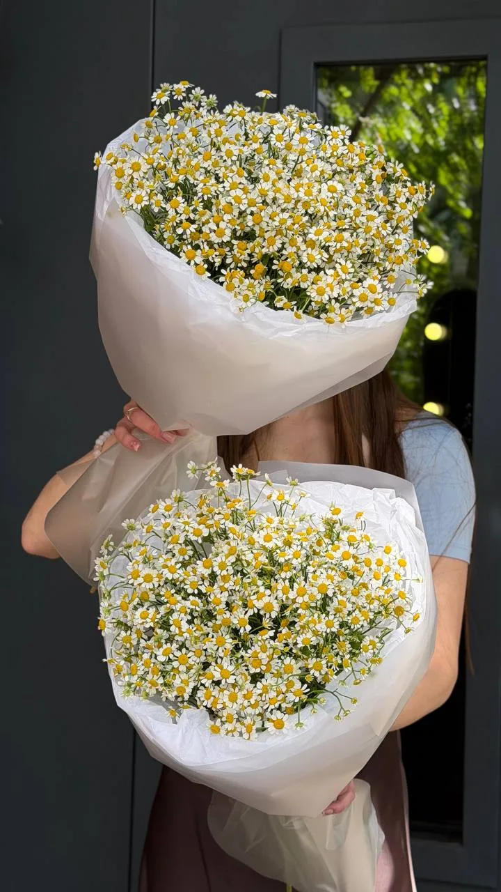 Моно из 15 кустовых ромашек