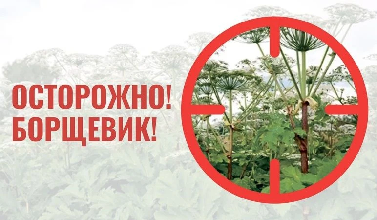 ❗❗Муниципальный земельный контроль