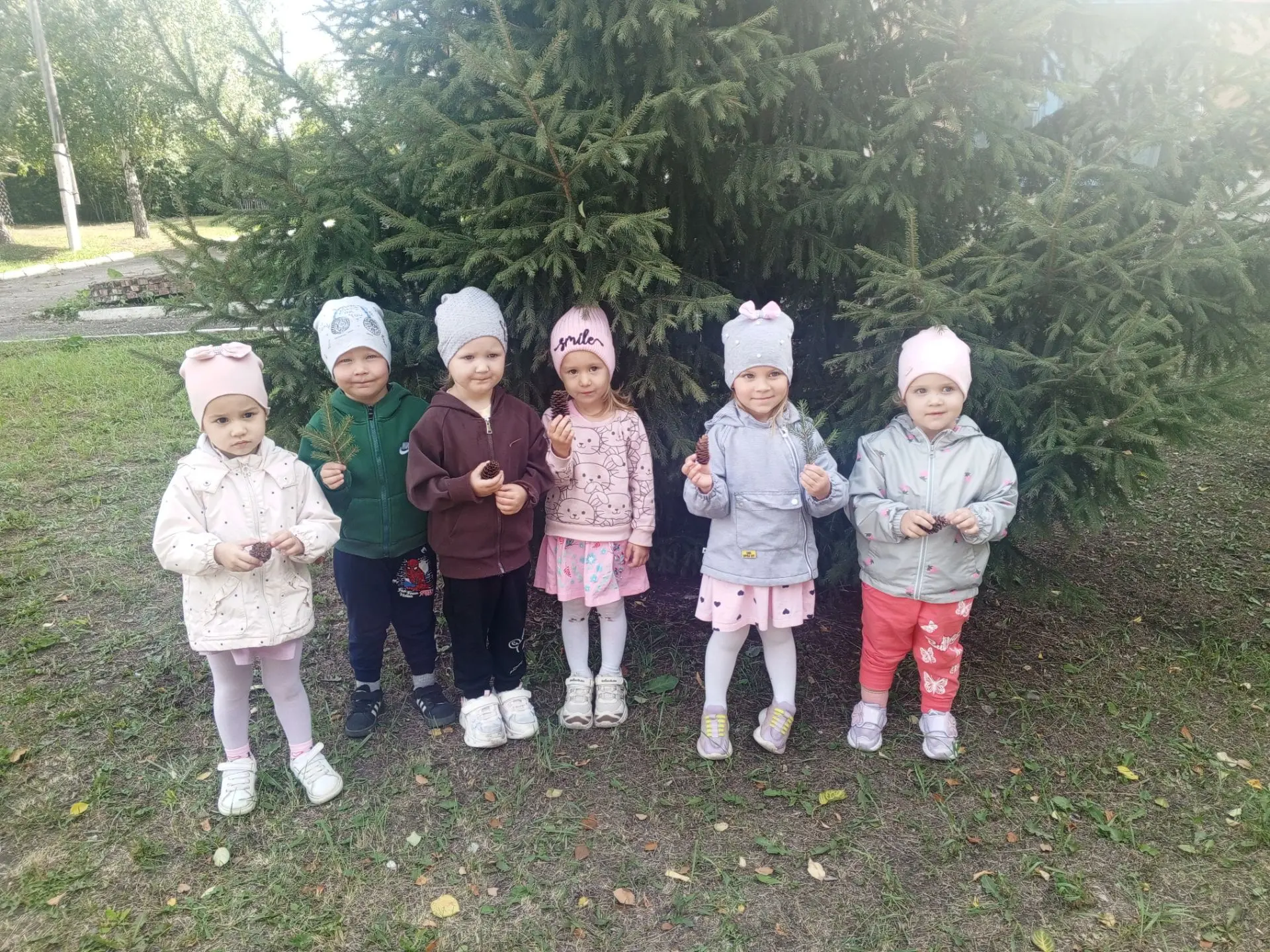 🌿 День, когда мы подружились с хвойными деревьями 🌿