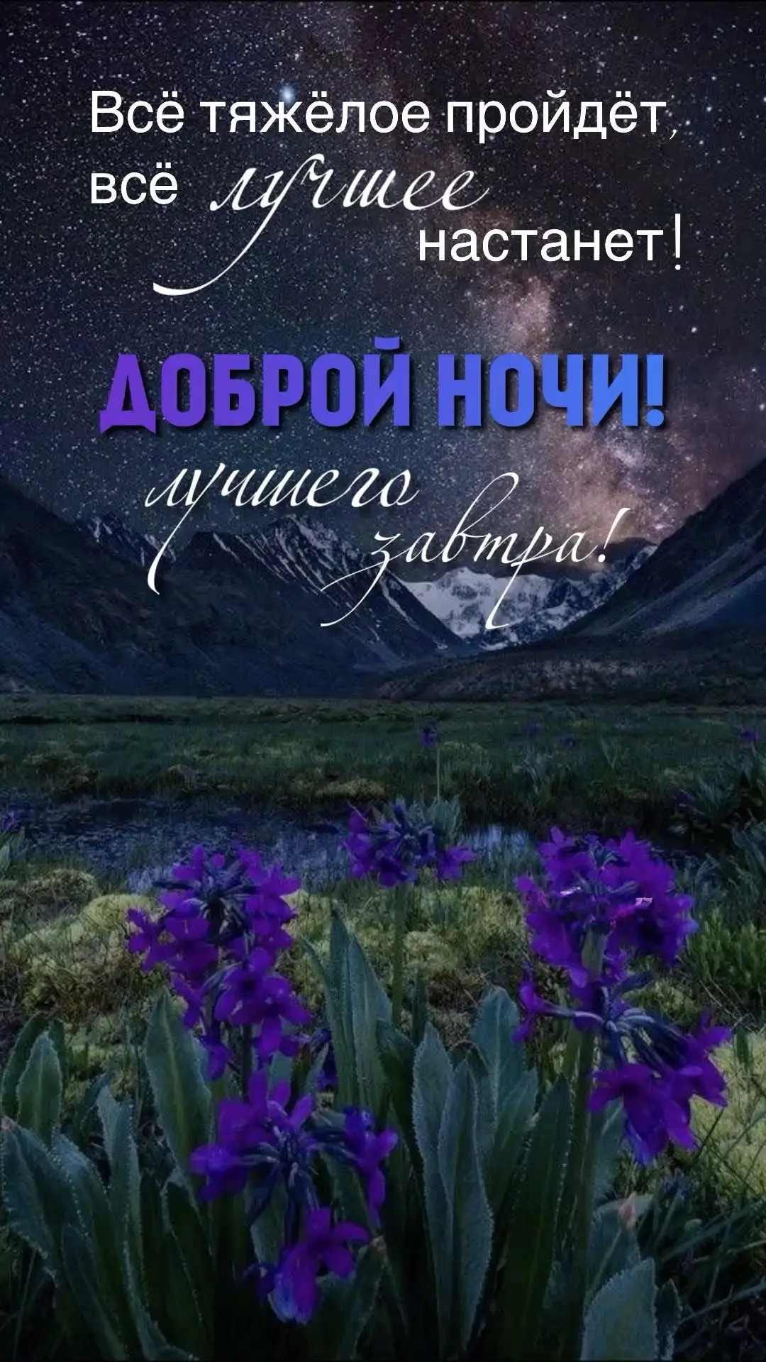 Спокойной ночи! 💜

👉 ПЕНСИОНЕРЫ | Подпишись