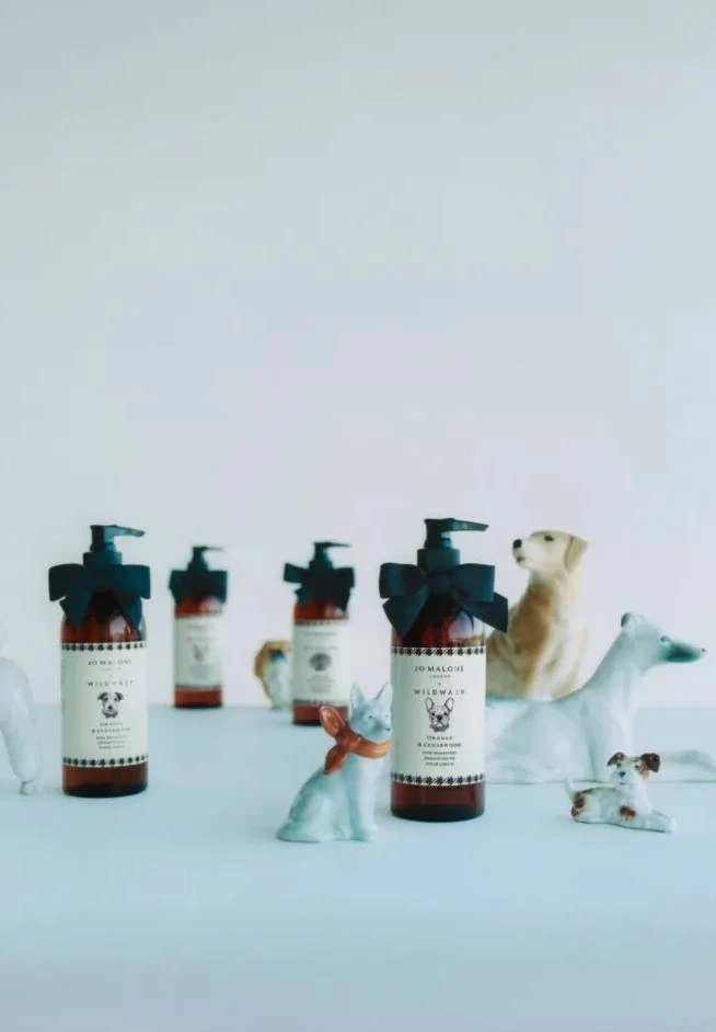 Jo Malone London выпустил первый шампунь для собак в коллаборации с британским брендом ...