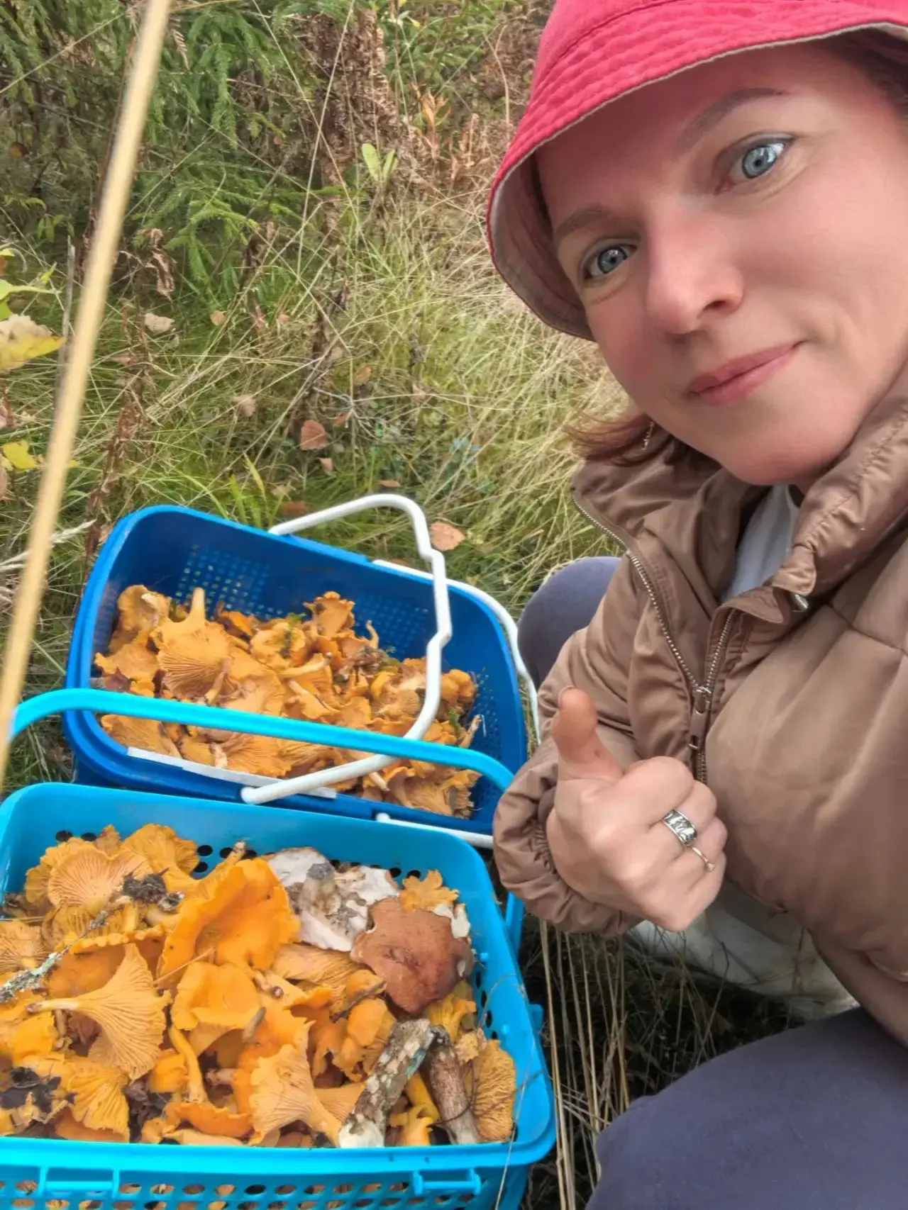 🍂 Учительские выходные: новгородские просторы и лисички!