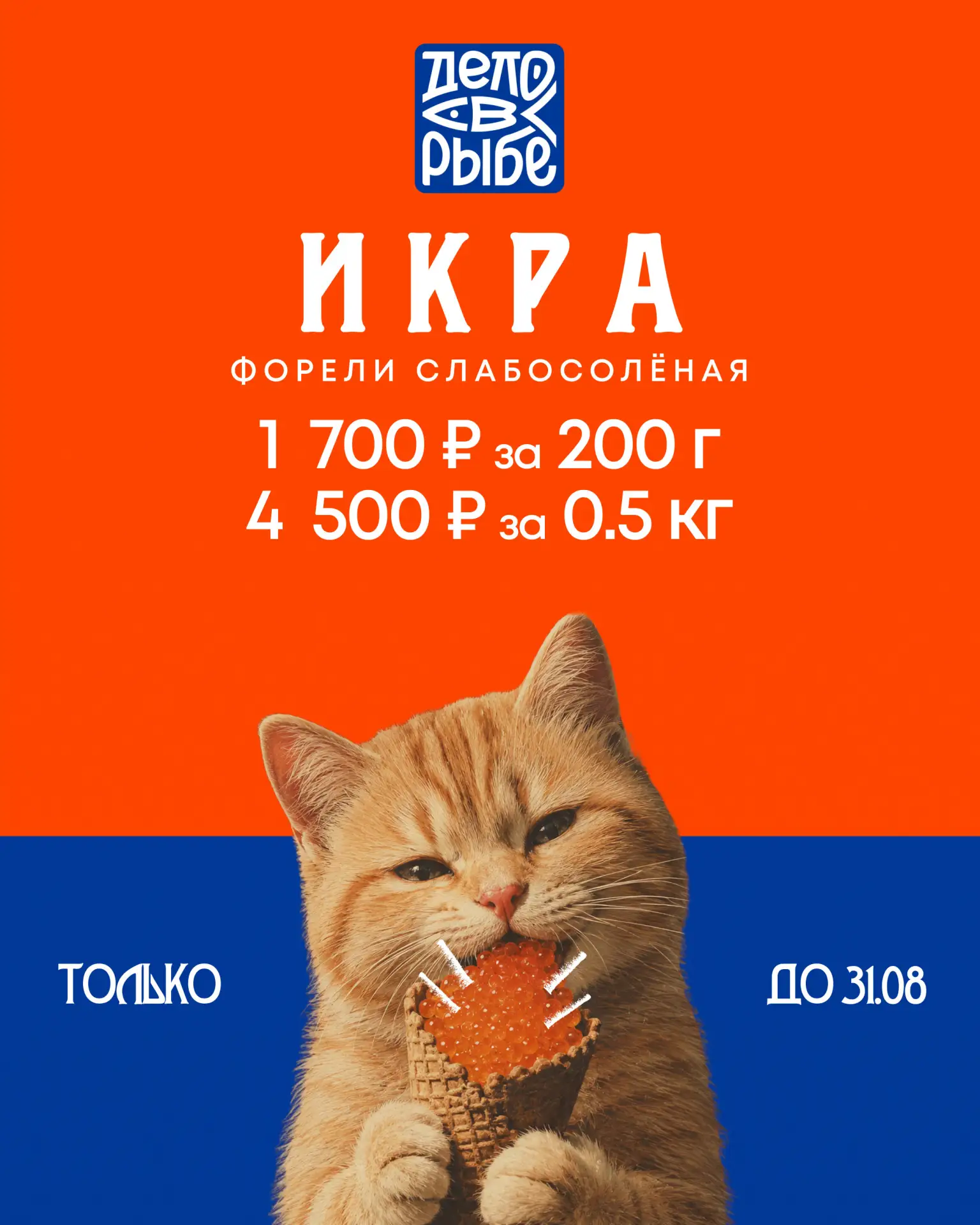 КТО УСПЕЛ, ТОТ И СЪЕЛ!