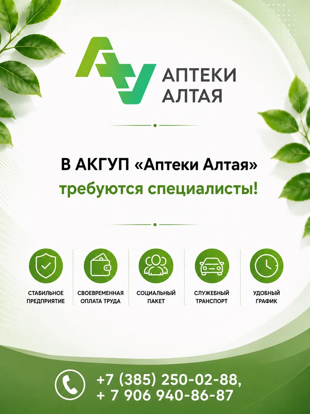 В АКГУП «Аптеки Алтая» требуется экономист и начальник административно-хозяйственного о...