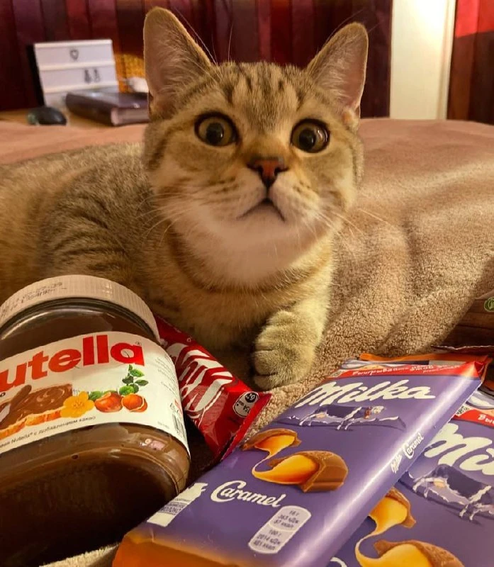🍫Всемирный день шоколада отмечается сегодня.