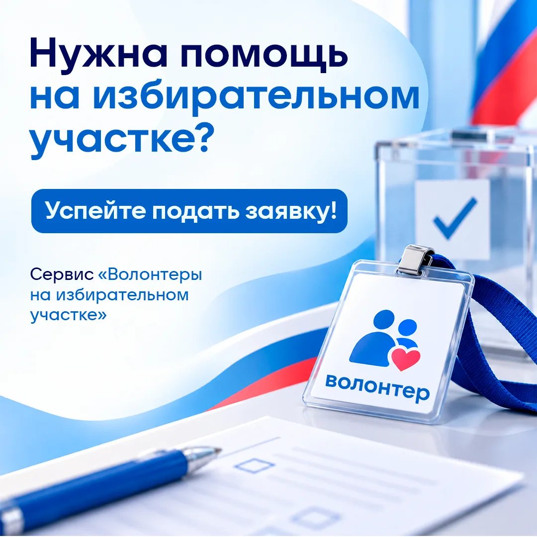 Голосуем с комфортом