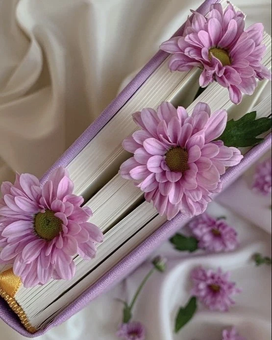 Собрали для вас подборку лучших каналов этого лета💜

🌸Таро с Ириной
Карта дня, лунные подсказки, р