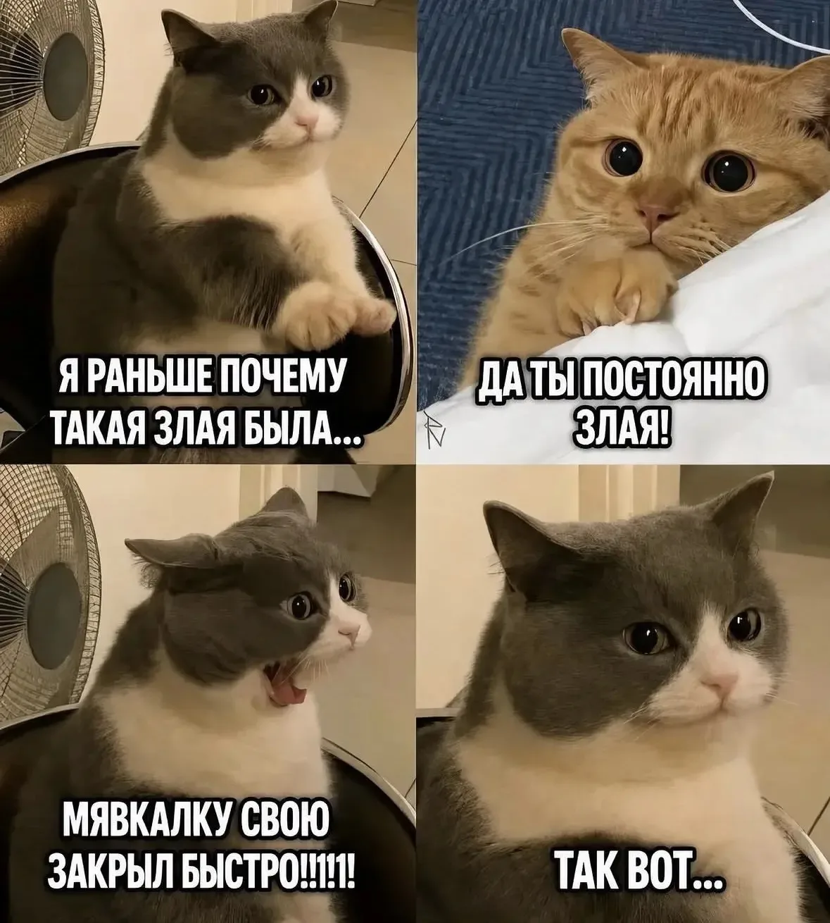 Так вот...