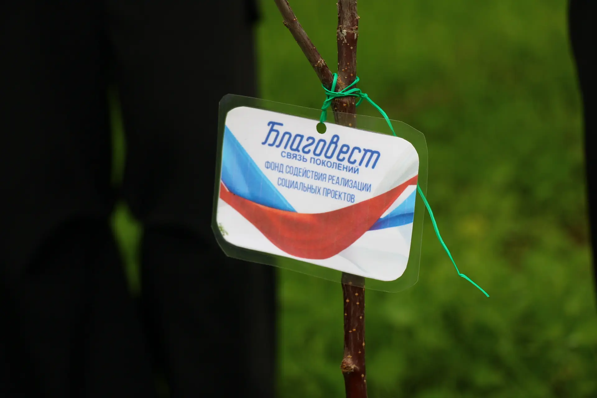 🌳 «Сад — связь поколений»: мы посадили будущее!  19 мая Кореновский политехнический техникум стал це