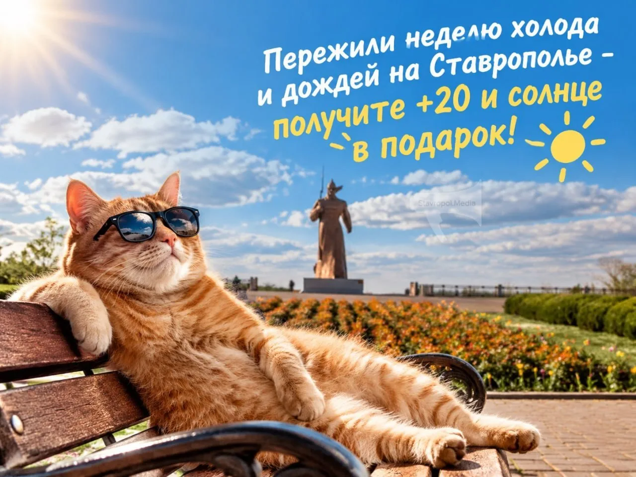 😎Согласитесь, мы это с вами заслужили?