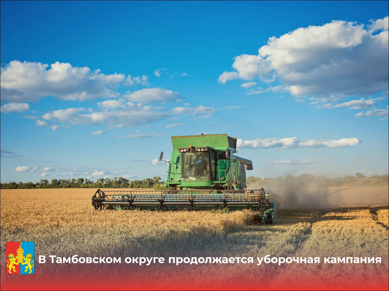 В Тамбовском округе продолжается уборочная кампания. По данным отдела сельского хозяйст...