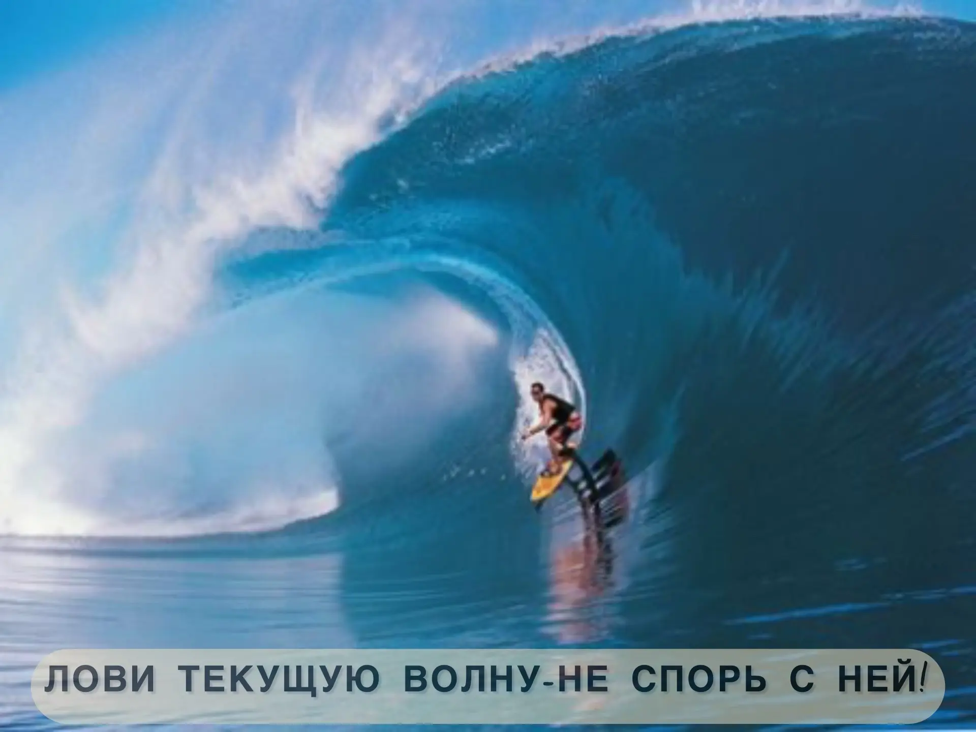 ЖИЗНЕННЫЕ ЦИКЛЫ