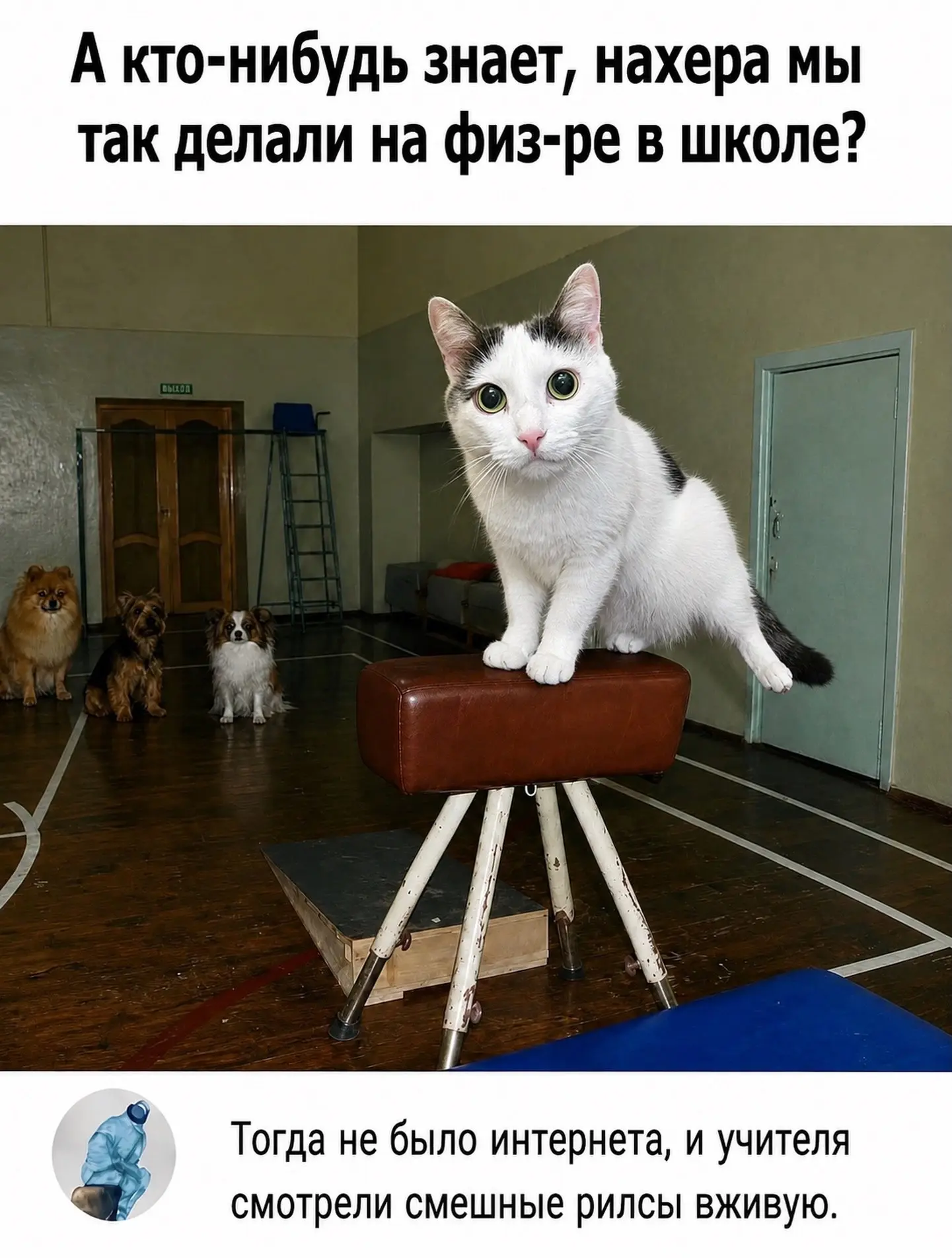 Подпишись на юмор 😂