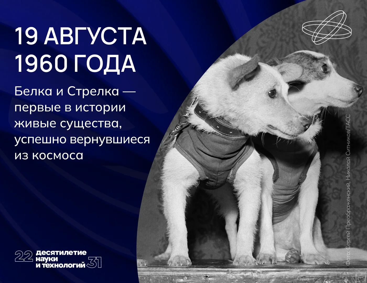 Лай на орбите