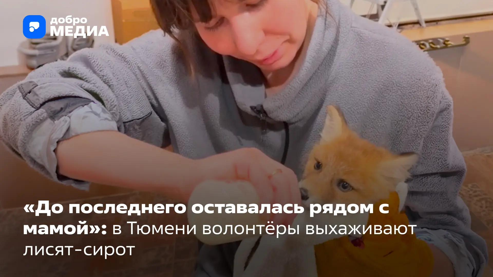 🦊 Весенне-летний беби-бум в центрах реабилитации диких животных – это не только умилительные кадры,