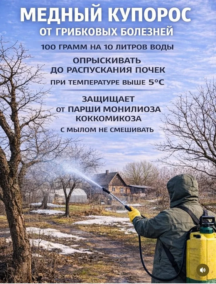 Медный купорос от грибковых болезней 📌