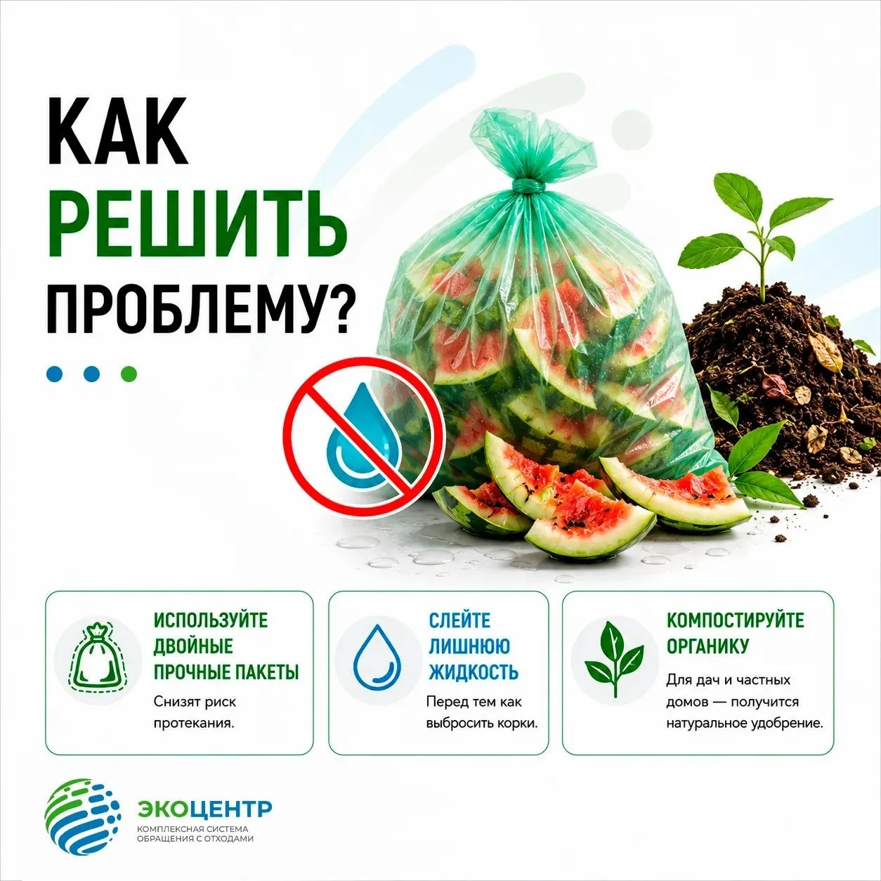 СЕЗОН АРБУЗОВ🍉: КАК ПРАВИЛЬНО ВЫБРАСЫВАТЬ ОСТАТКИ БАХЧЕВЫХ КУЛЬТУР 
С наступлением периода активной