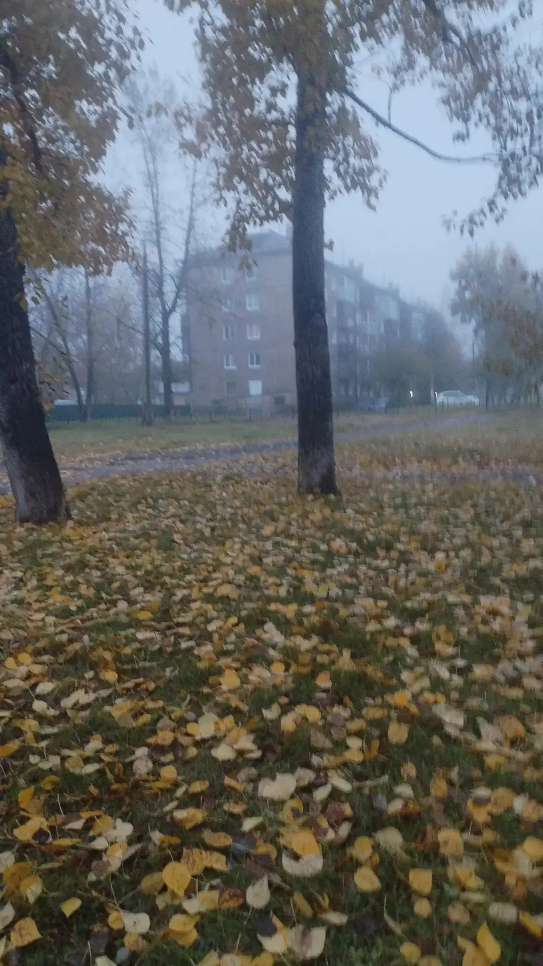 ..... посмотрите наш Братск утром😍
