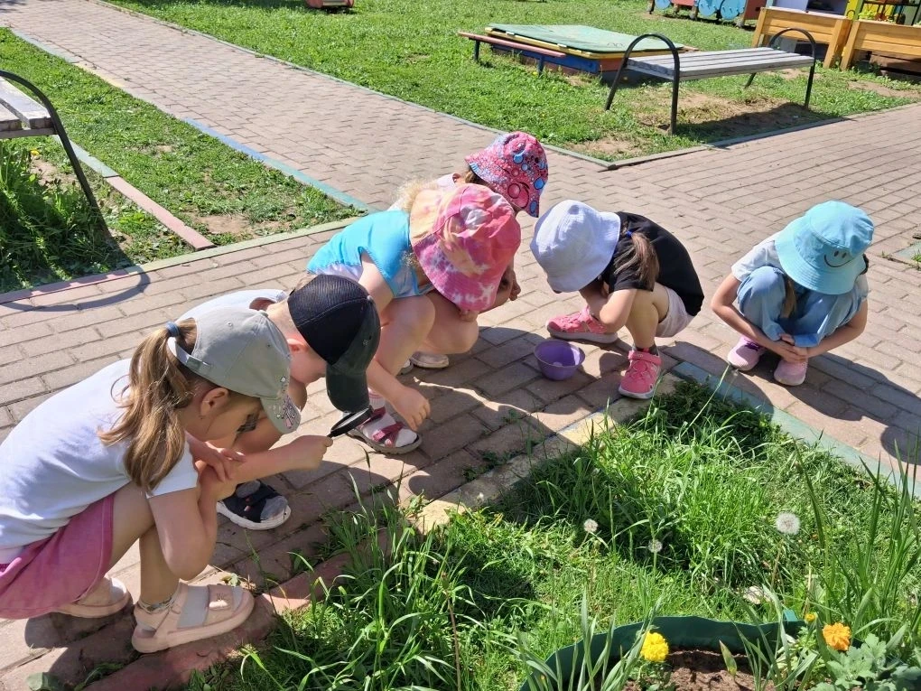 В рамках лексической недели «Насекомые» в старшей группе «Ромашка» дошкольного отделения «Ласточка» 