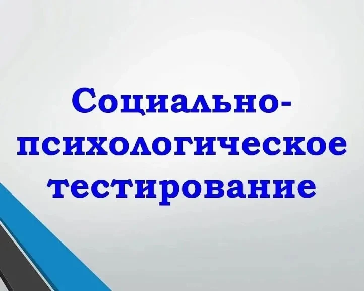 Памятка для родителей: социально‑психологическое тестирование (СПТ) в 2026–2027 учебном...
