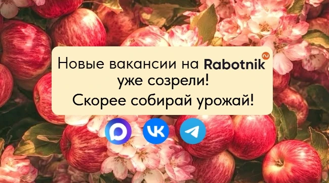 🍎 Лето — время собирать урожай.