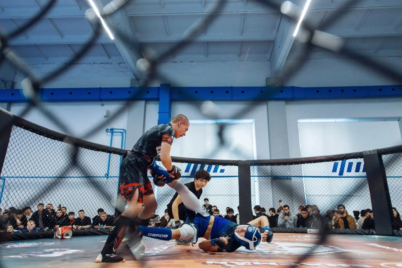 🥊 В Тюменской области стартует спортивно-патриотическая Лига единоборств

Мероприятие пройдет в рам
