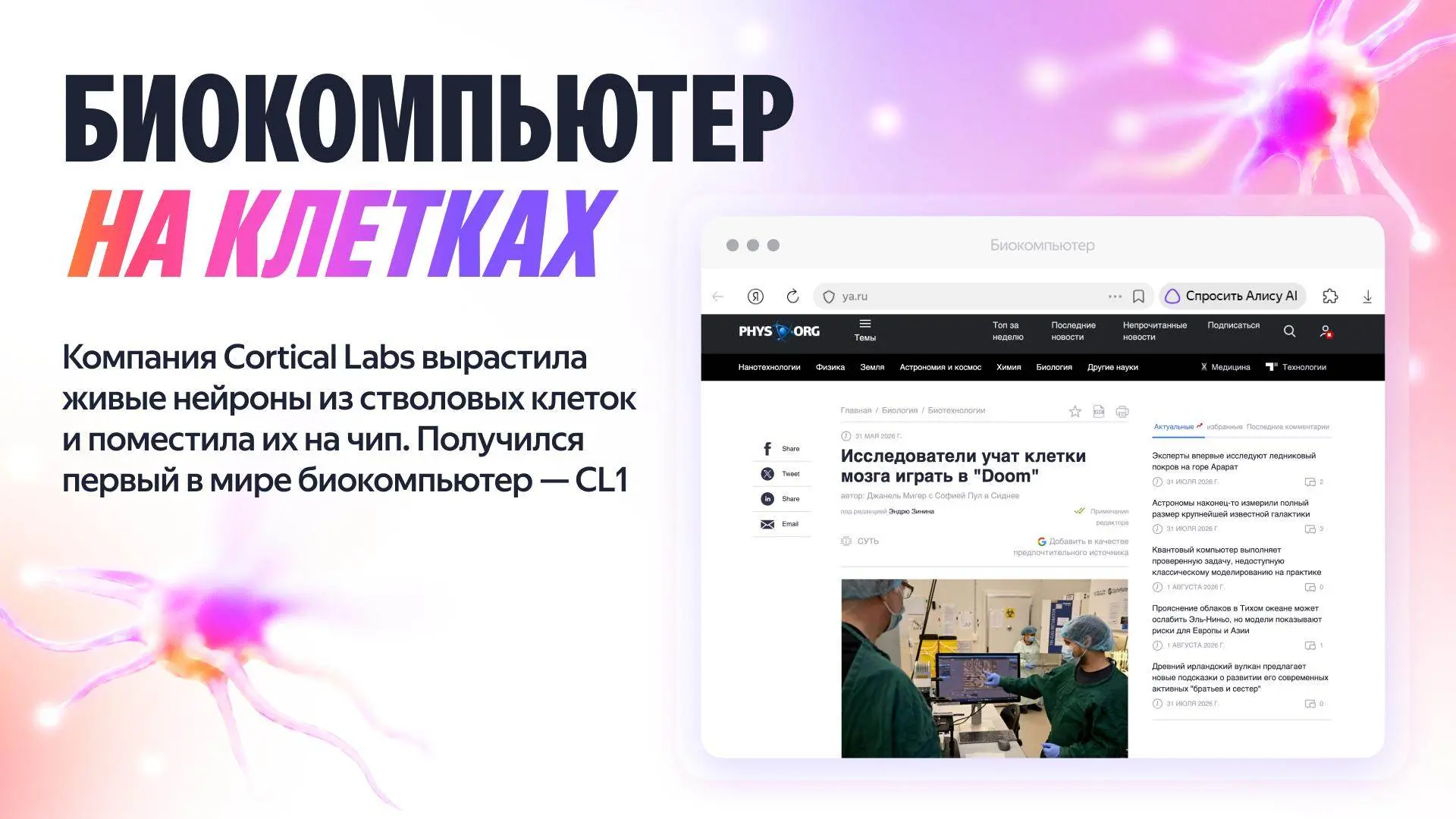 Учёные вырастили компьютер 🧠