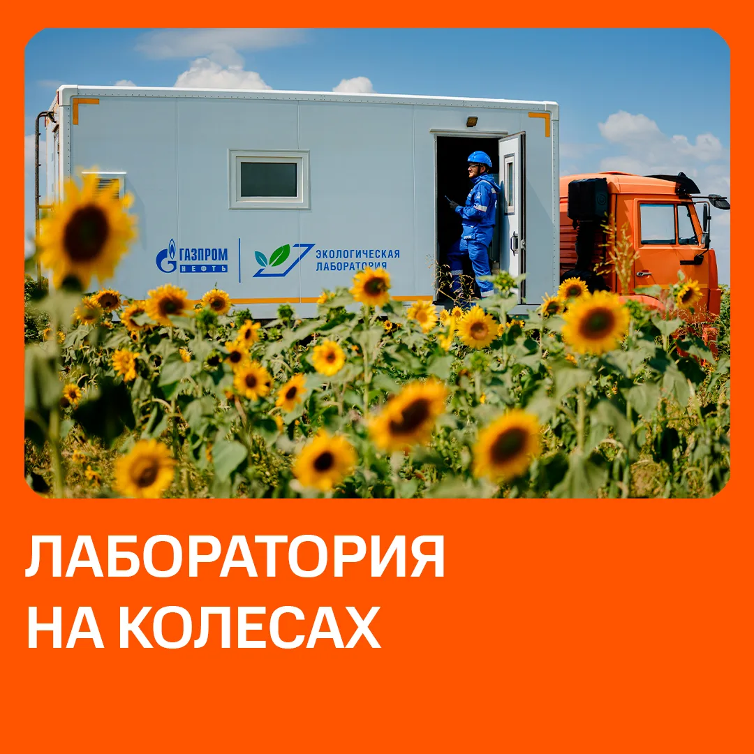 #ФотоДня