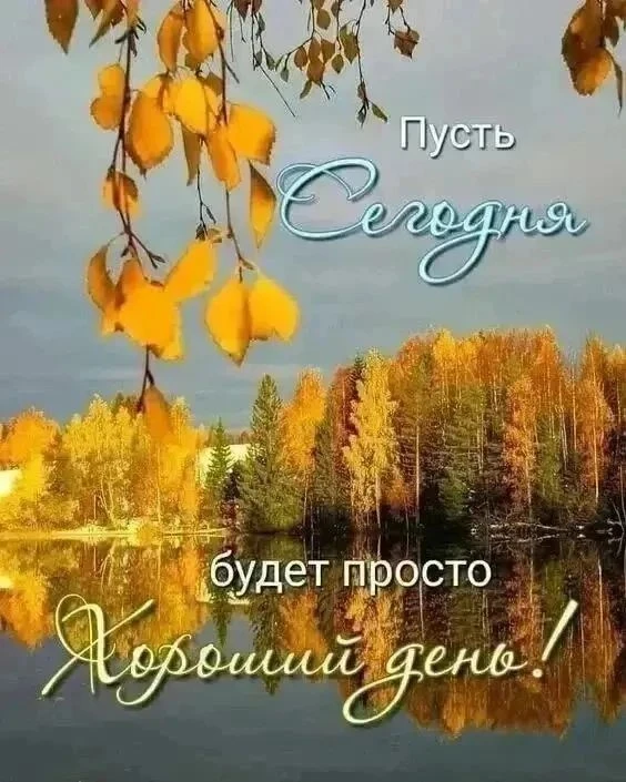 📆 Сегодня – Всероссийский день ходьбы.