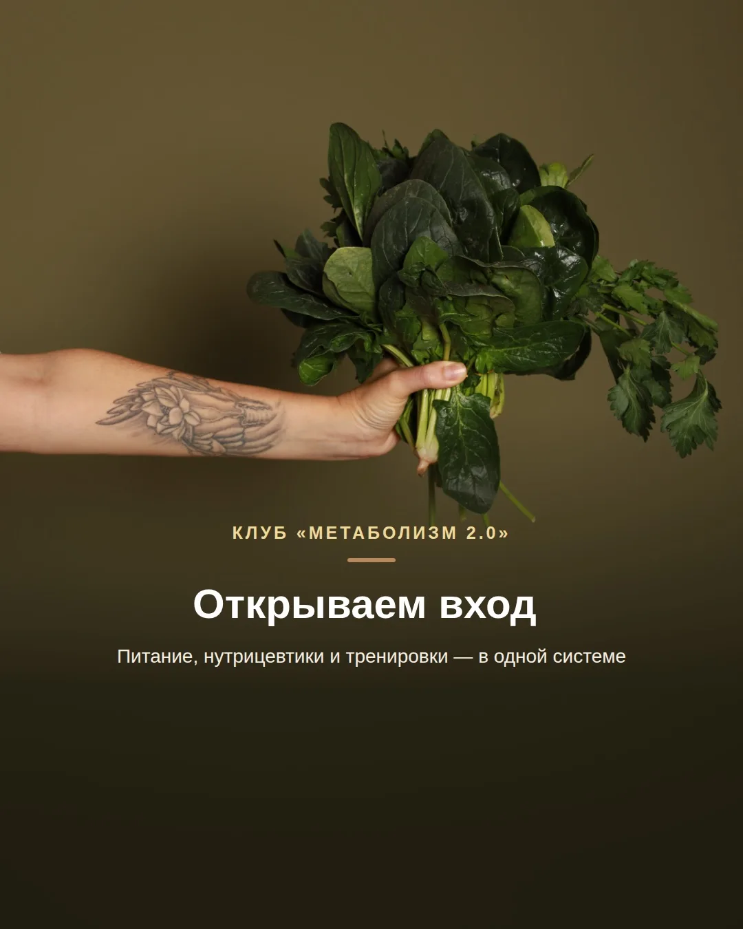 Дорогие, уже завтра двери клуба «Метаболизм 2.0» откроются и у вас будет возможность