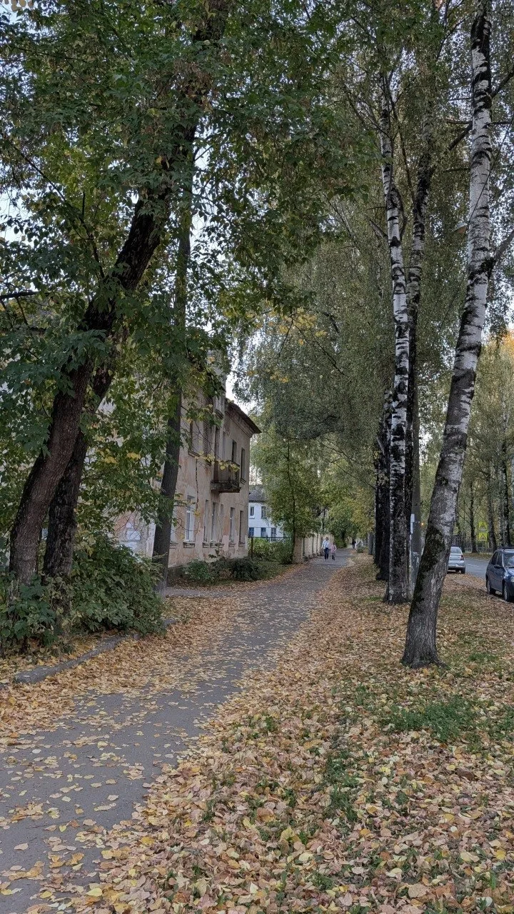 Доброе утро! 🌿