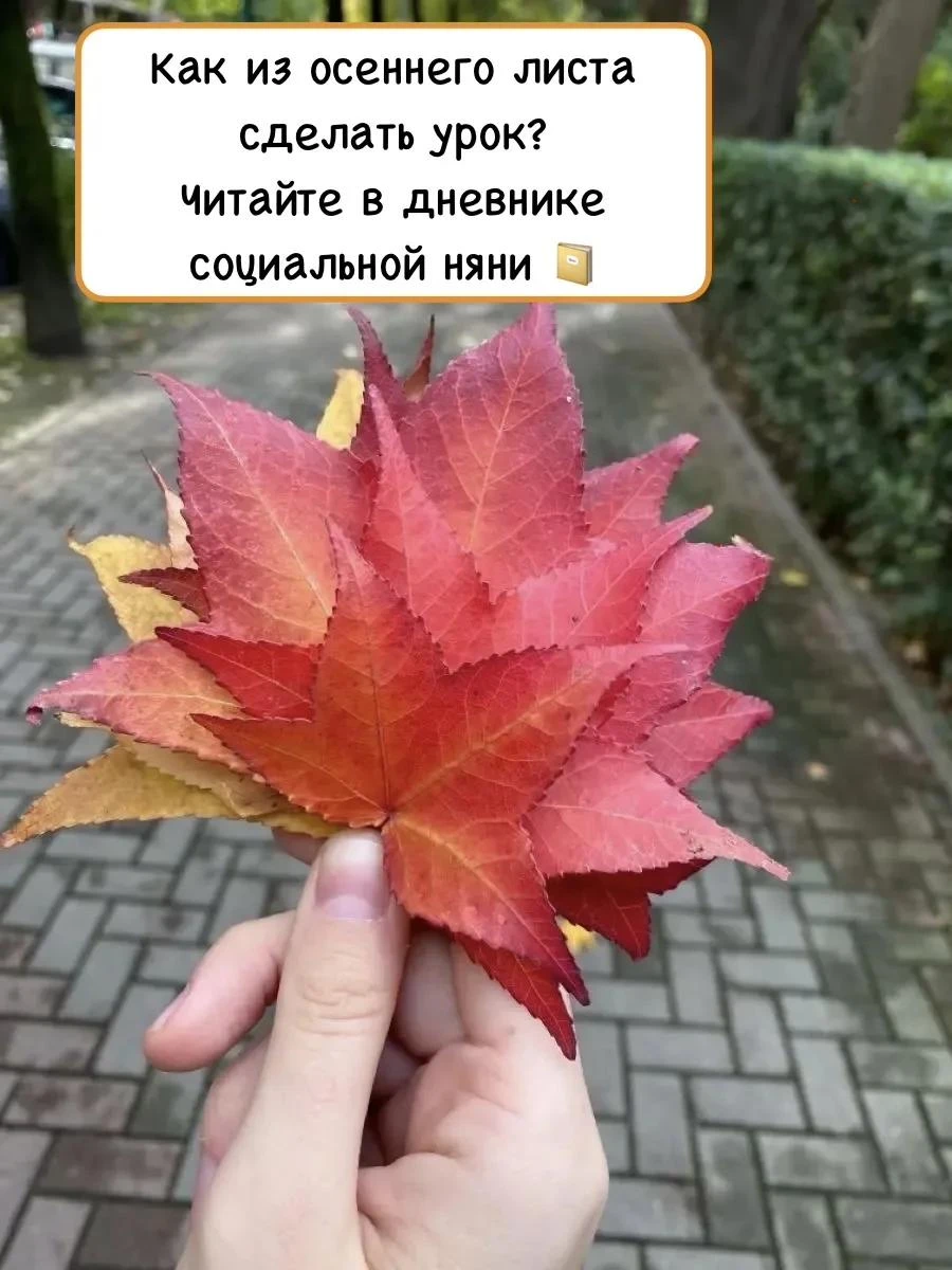 📔 Дневник социальной няни: «Прогулка с пользой»