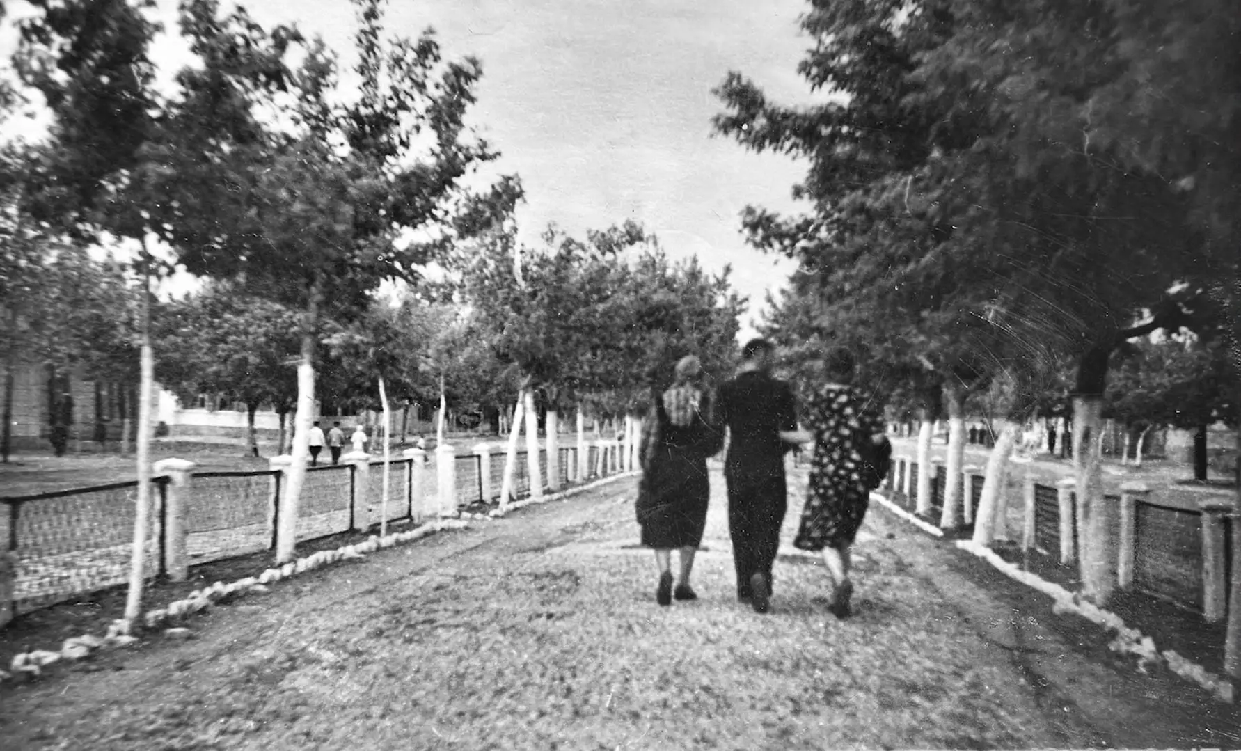 📚Петровский бульвар.

Первое упоминание о бульваре появилось в 1896 году и назывался он тогда просп