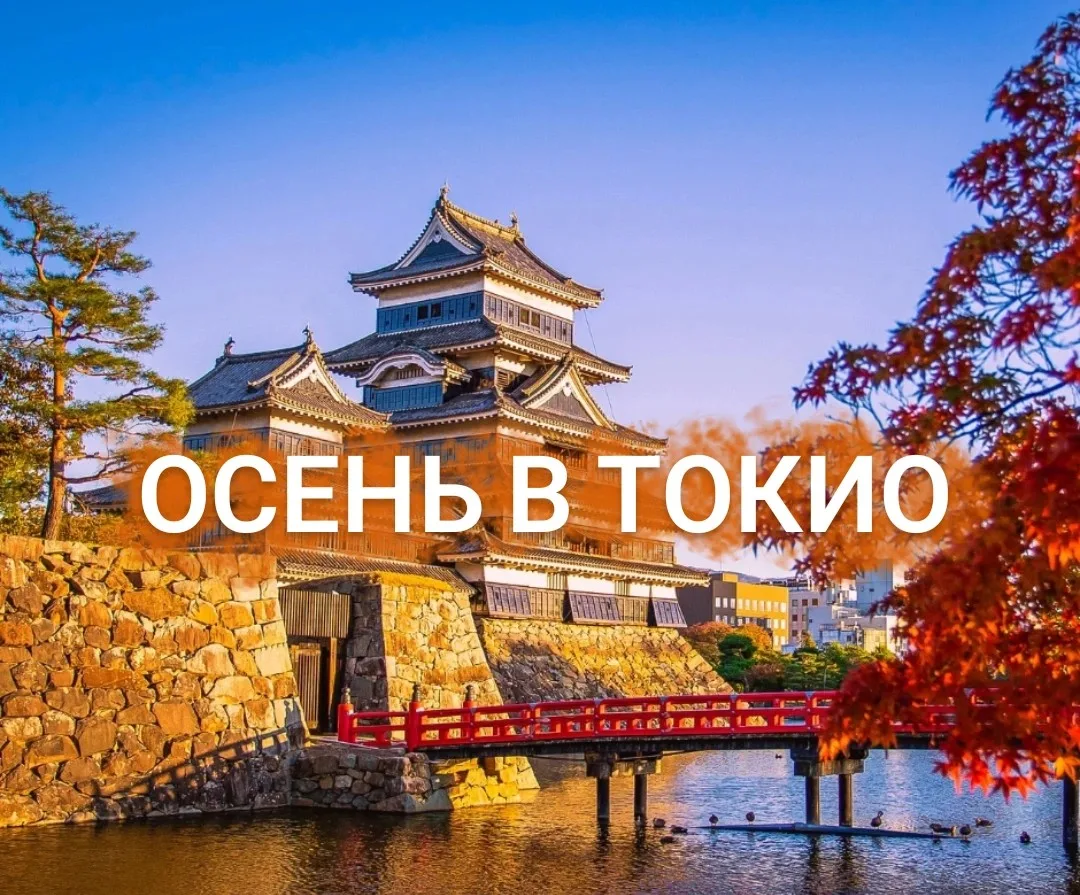 🍁 Осень в Токио и у подножия Фудзи 🍁