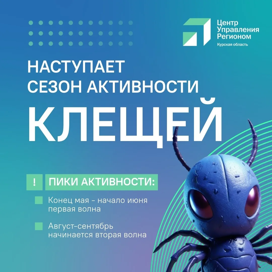 Если собираетесь на природу, не забывайте об опасности клещей.