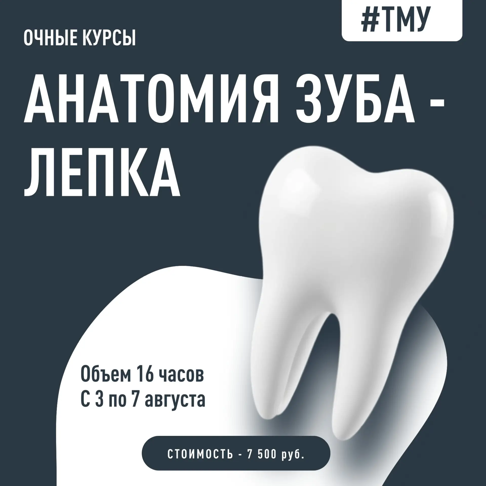 💢 Подготовительный курс по лепке зуба с 3 по 7 августа проведут преподаватели ТМУ для абитуриентов,
