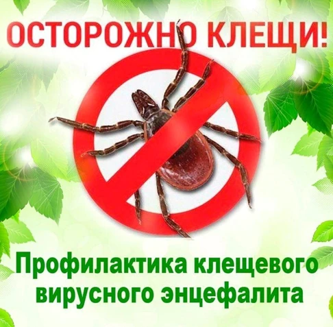 ВНИМАНИЕ: СЕЗОН КЛЕЩЕЙ!