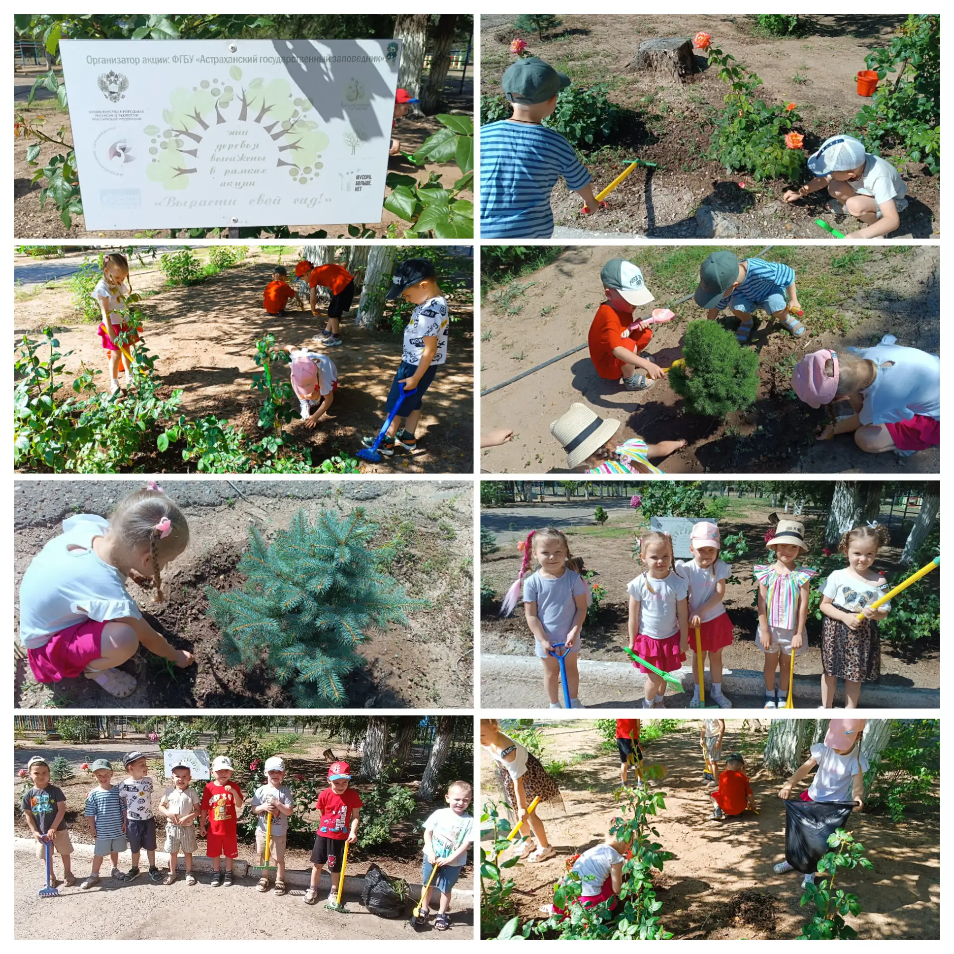 🌱В рамках Года дошкольного образования наши воспитанники доказали, что для добрых дел возраст не по