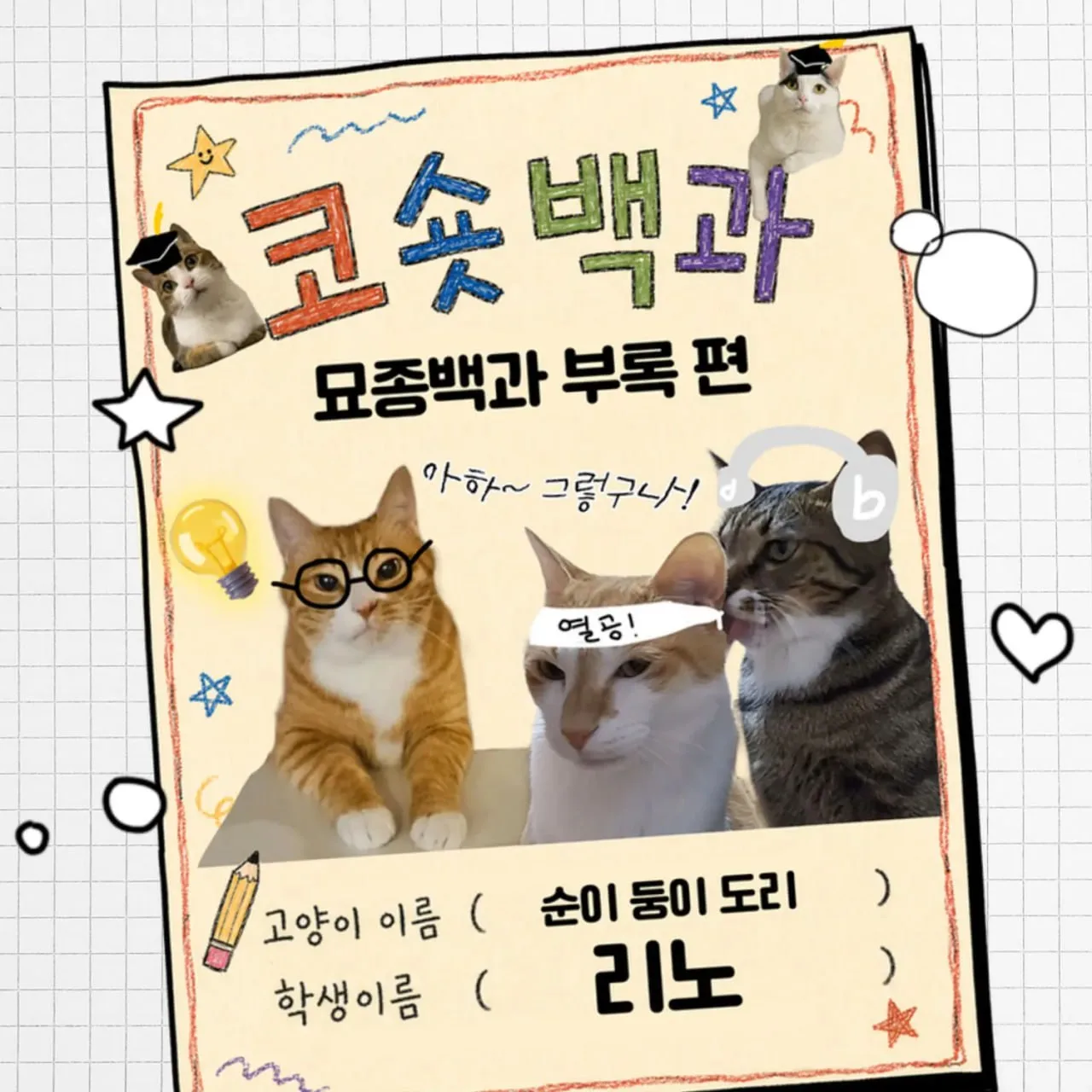 Минхо появится на шоу "Cat Encyclopedia"❤️