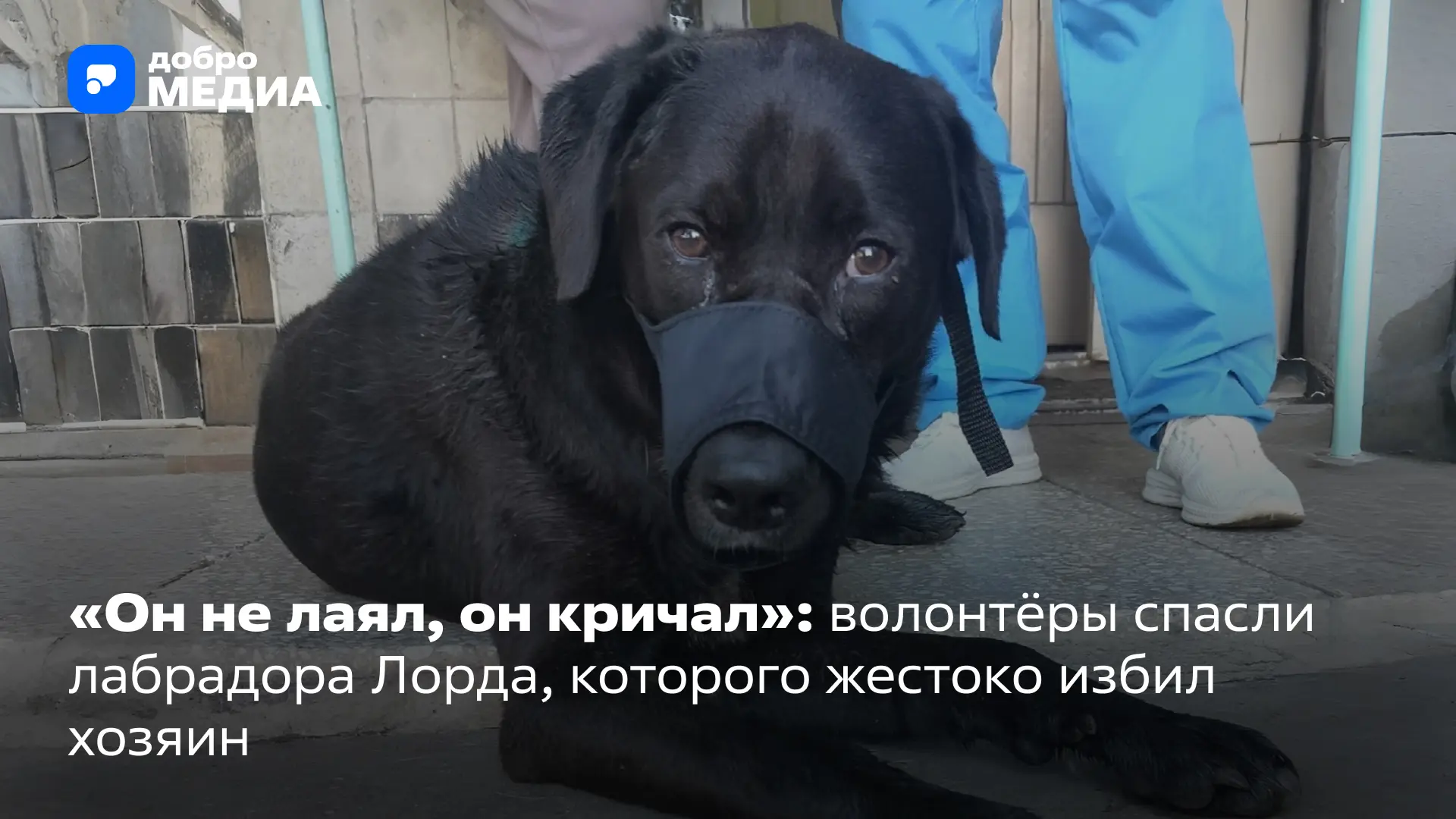 В тихом Железногорске-Илимском в середине июля произошла история, которая всколыхнула весь город. Ме