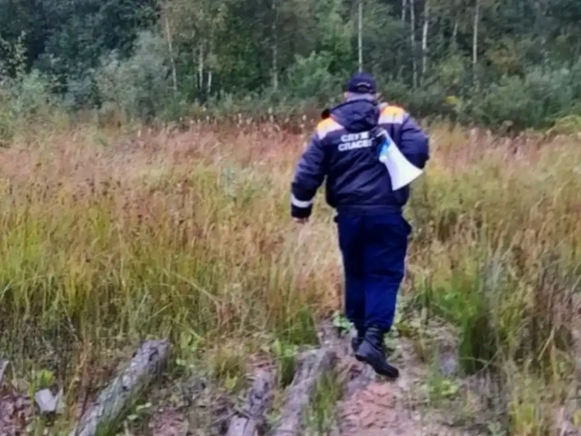 В Старорусском округе спасатели вывели из леса заблудившегося мужчину