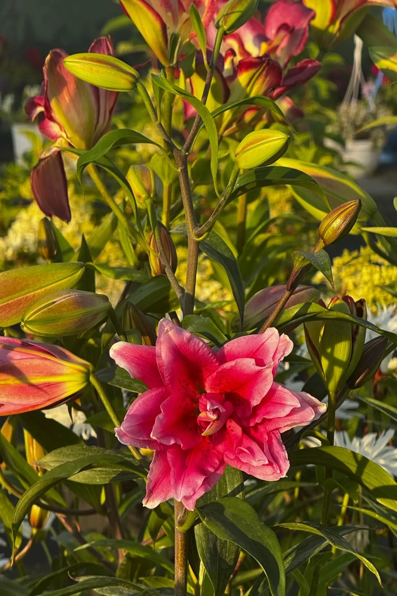 Всем отличных выходных 🌺