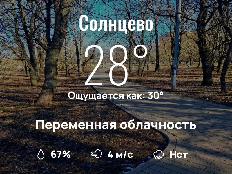 Что с погодой в Солнцеве?