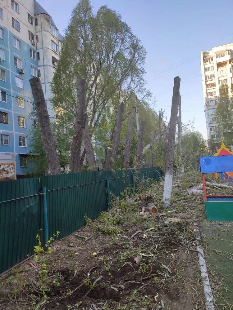 📌 Новости благоустройства МАДОУ №403