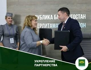 В рамках межмуниципального сотрудничества Стерлитамакский район стал площадкой для масш...