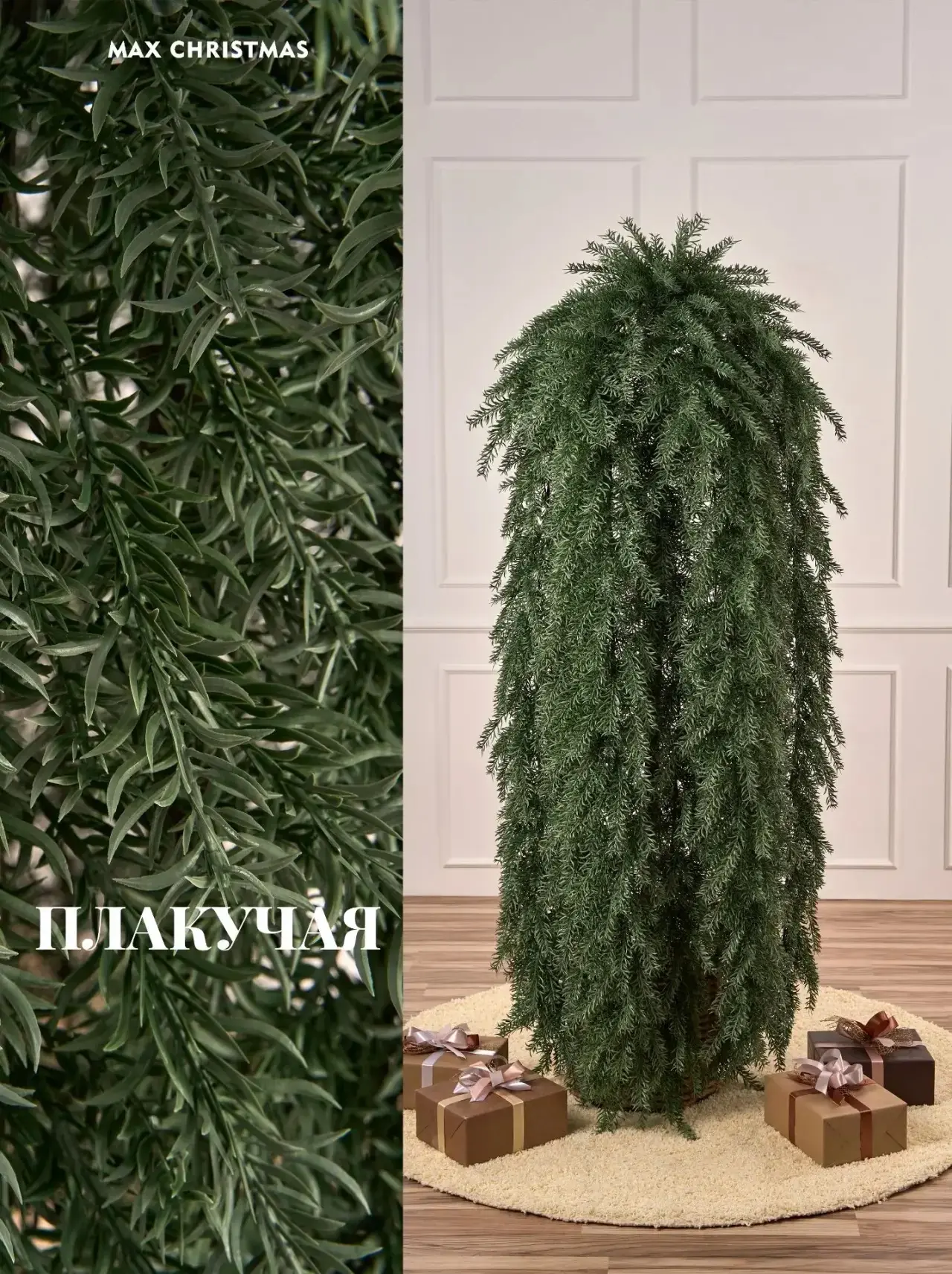 🌳 Новая модель 2026