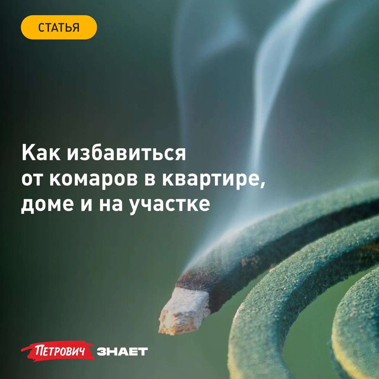Комары не просто раздражают своим писком, но и оставляют зудящие укусы, которые могут вызвать сильну